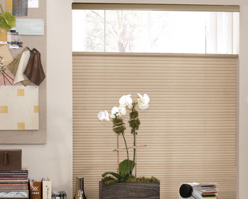 Light Filtering Top Down Bottom Up Cellular Shades - Cordless